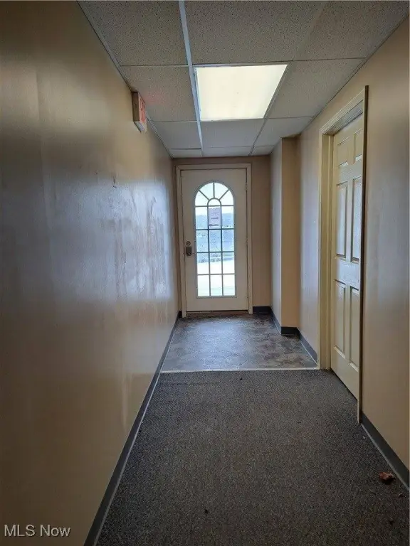 Picture 12