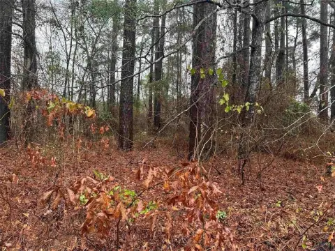 Wooded Lot Near Lake