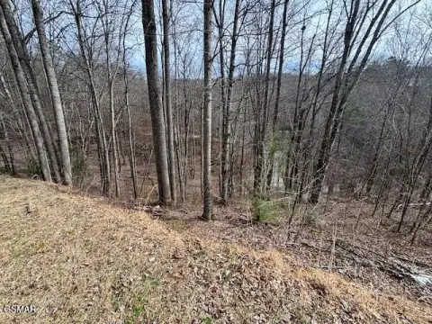 Sevierville, TN Land For Sale