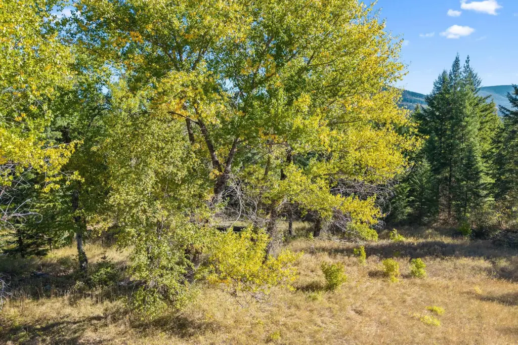 Picture 25