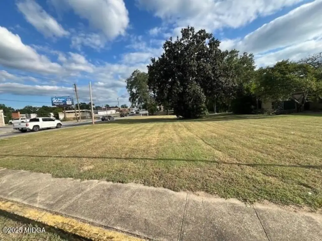 Picture 17