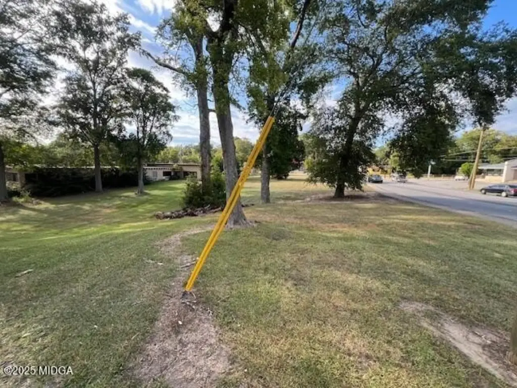 Picture 18