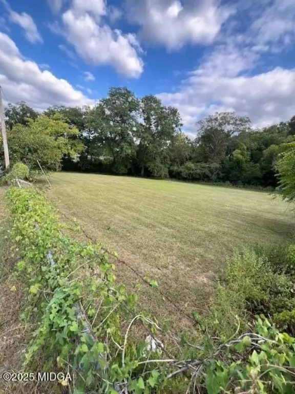 Picture 15