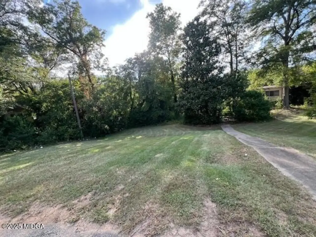 Picture 20