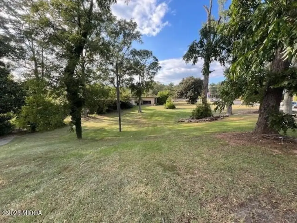 Picture 19