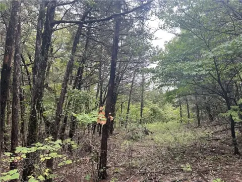 Wooded Land with Building Site