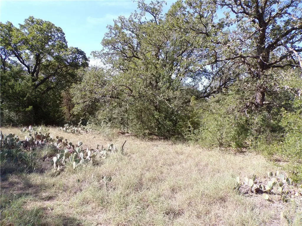 Picture 27