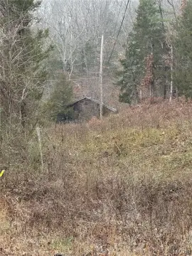 Wooded Land with Road Frontage