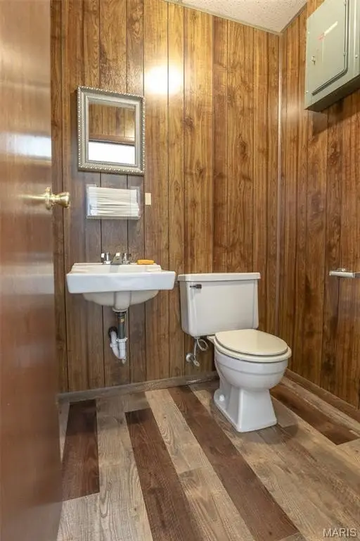 Picture 14