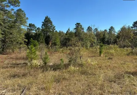 14 Acre Oasis Near Aiken