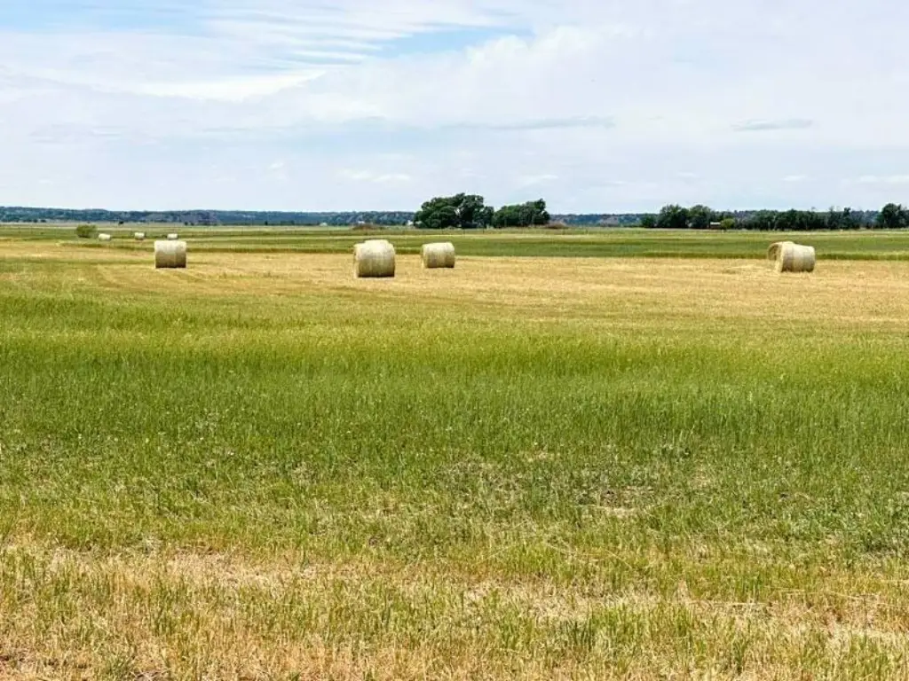 Picture 19