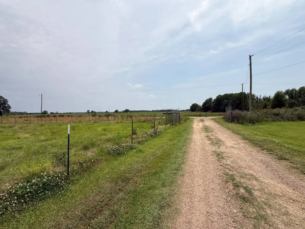 Picture 28