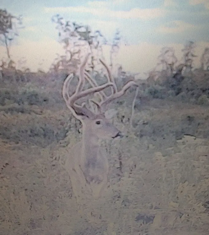 Picture 37