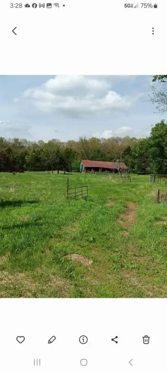 Picture 6