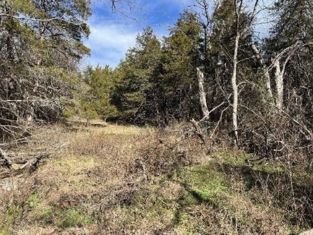 Picture 11