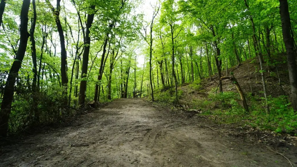 Picture 4