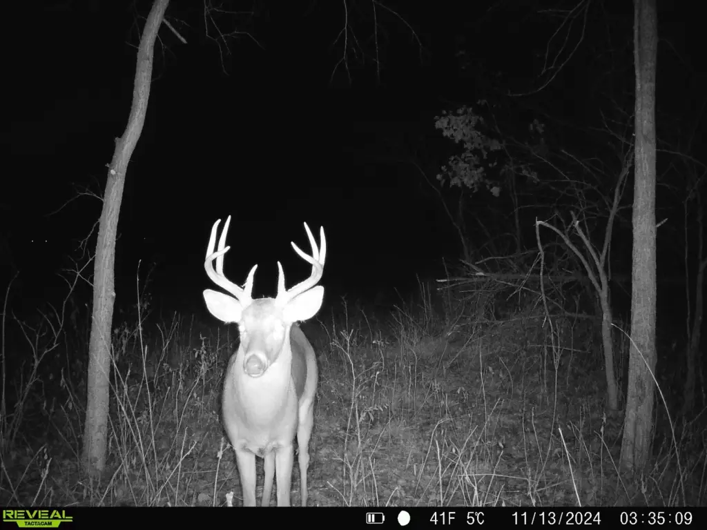 Picture 5