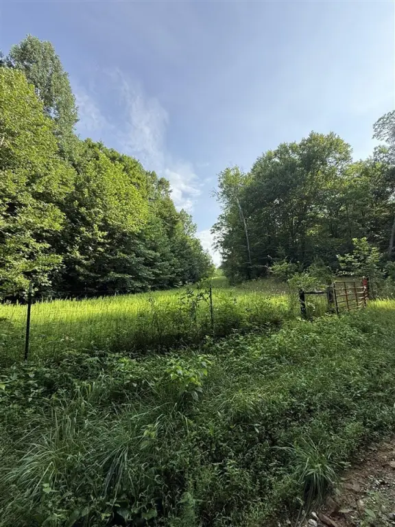 Picture 22