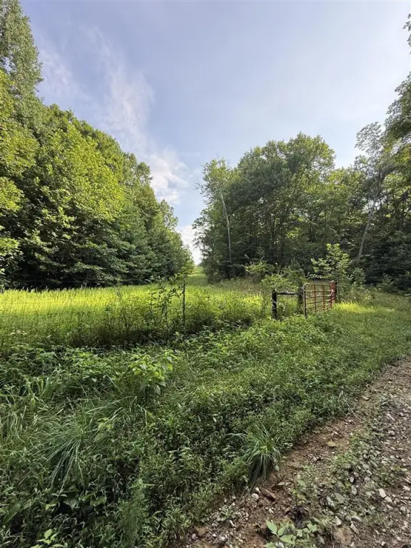 Picture 25