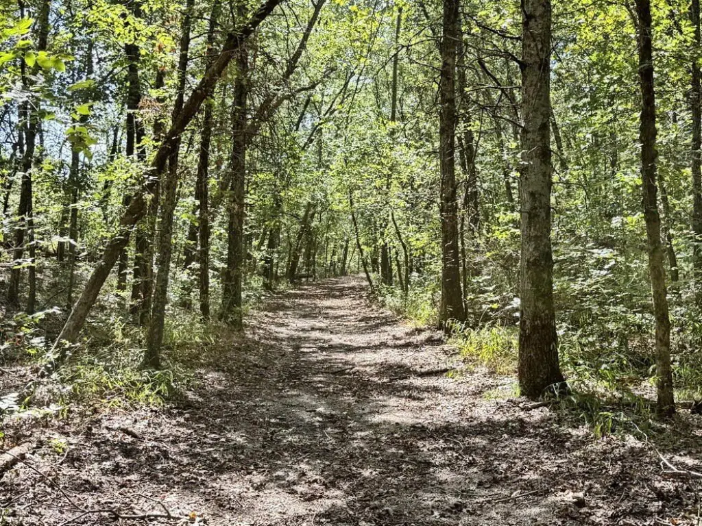 Picture 25