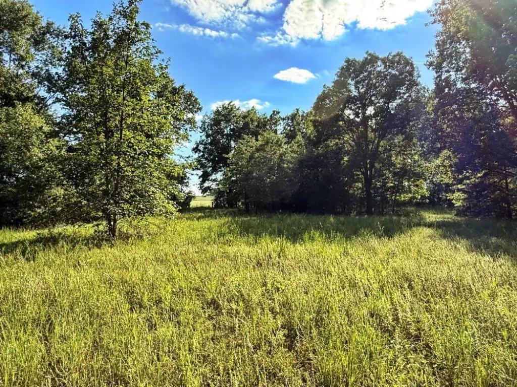 Picture 37