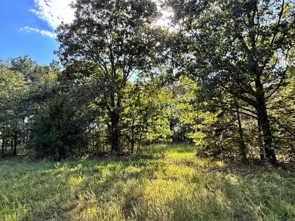 Picture 38