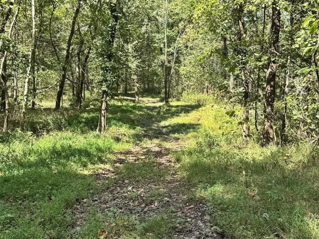 Picture 22