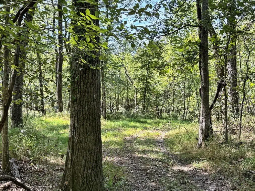 Picture 21