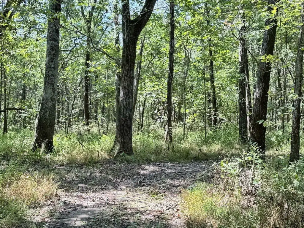 Picture 23