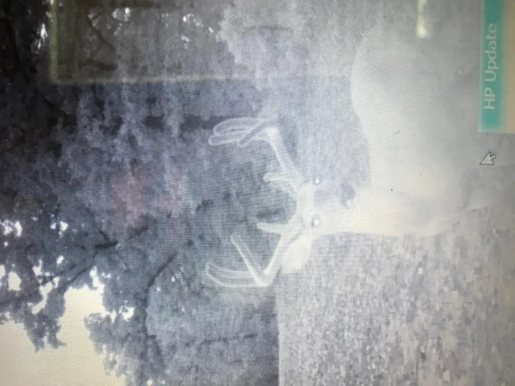 Picture 14