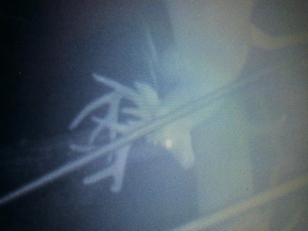 Picture 15