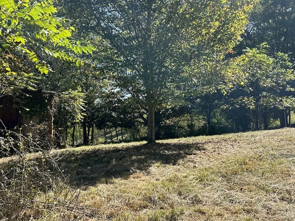 Picture 21