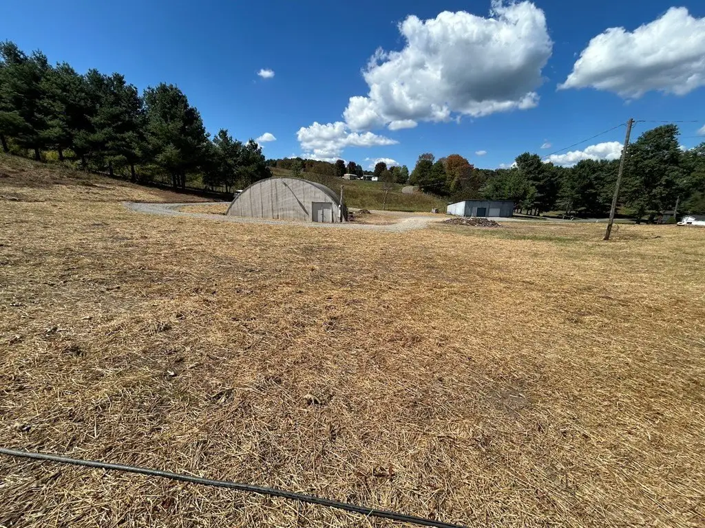 Picture 25