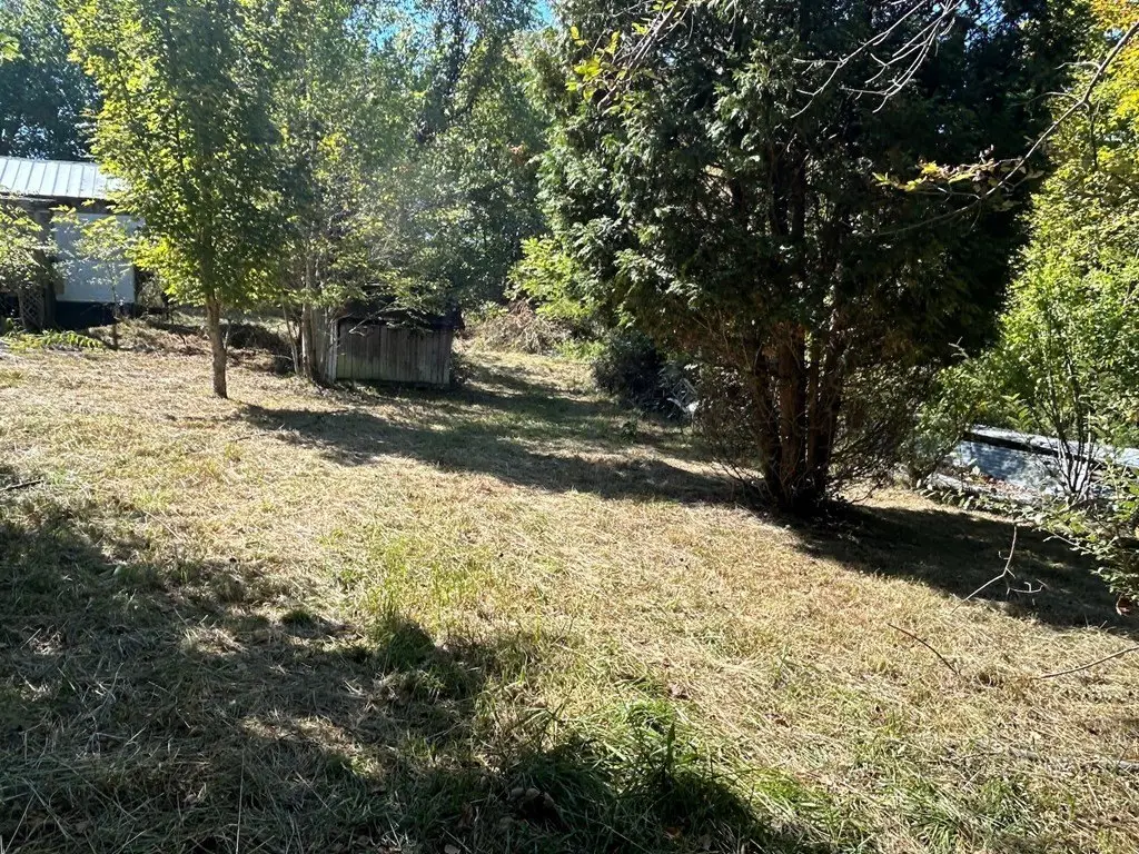 Picture 20