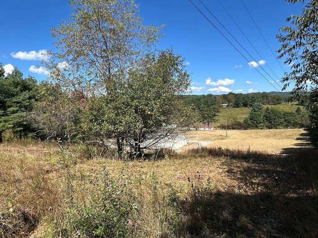 Picture 18