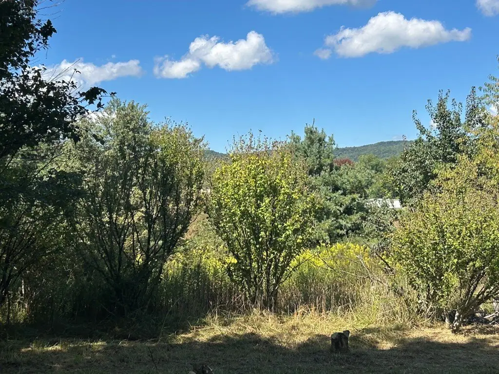 Picture 23