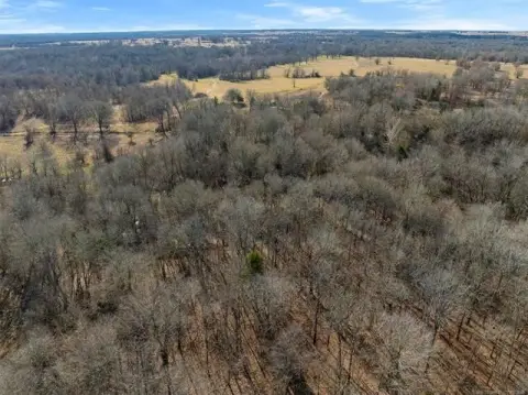 40 Acres of Wooded Land