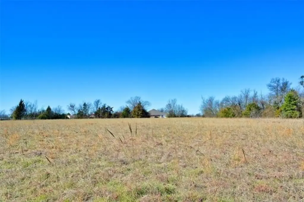 Picture 9