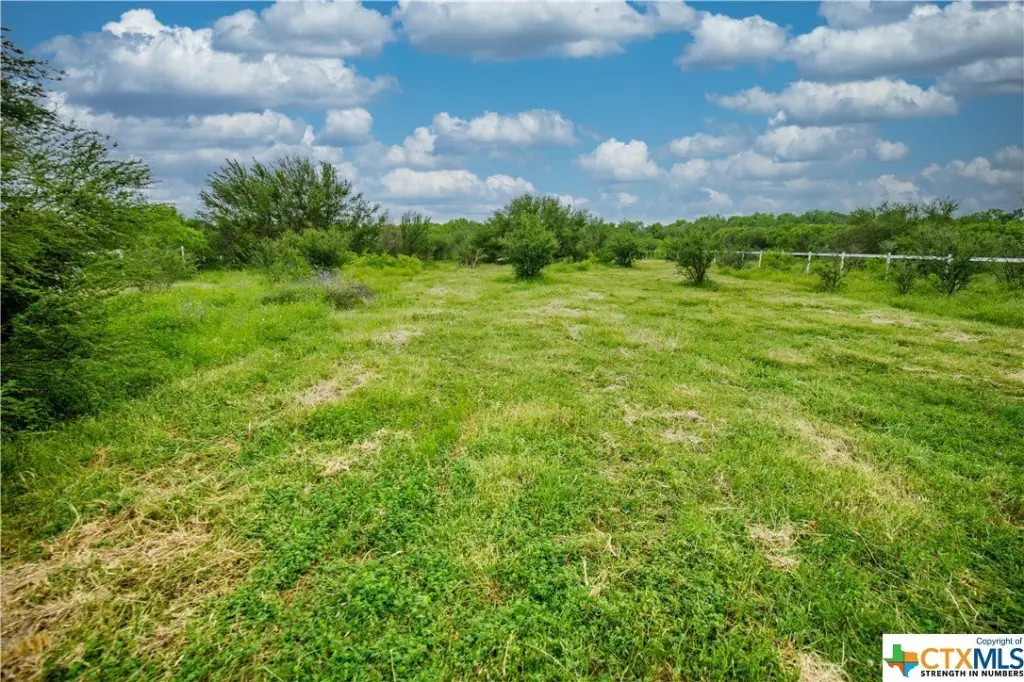 Picture 23