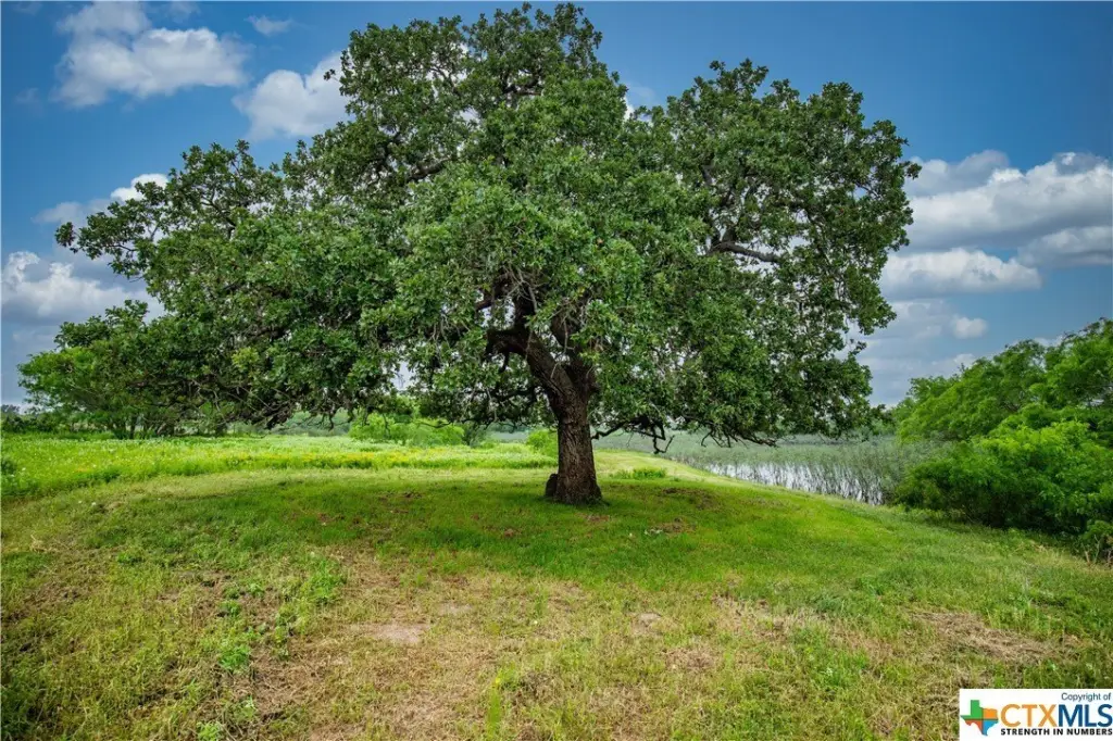 Picture 29