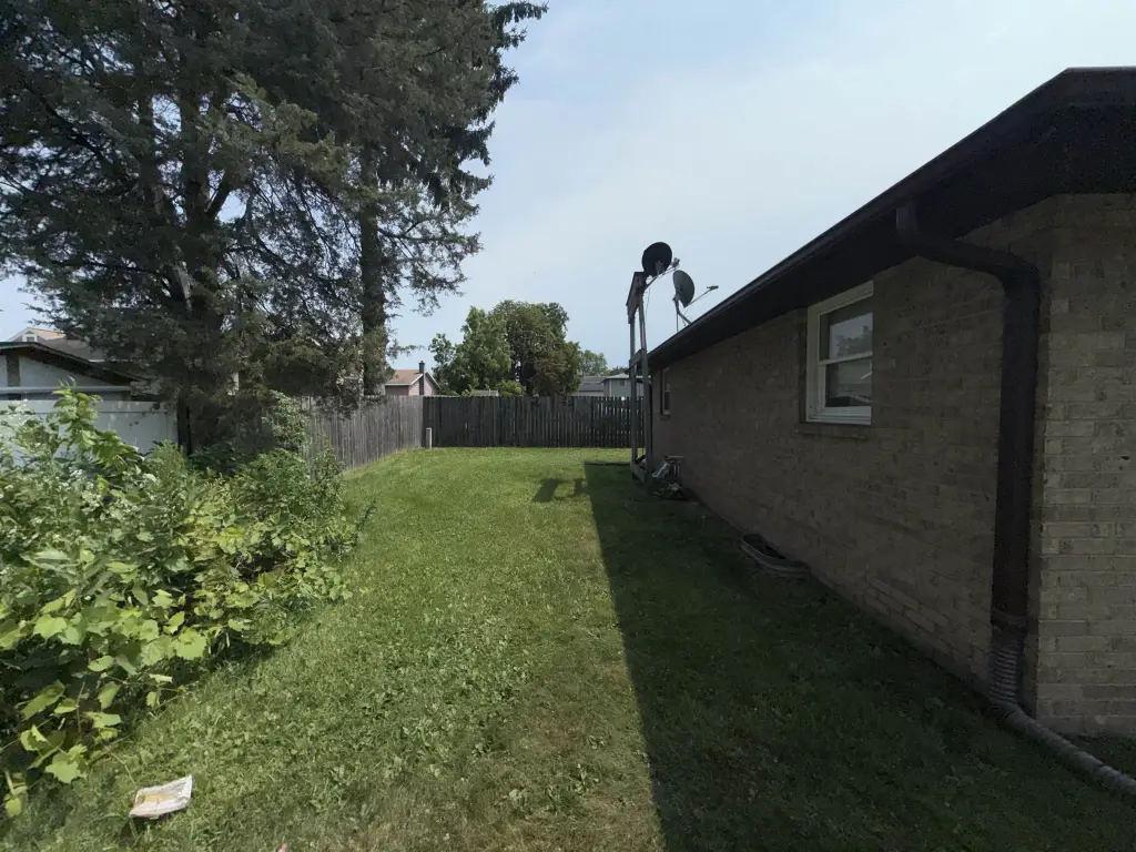 Picture 21