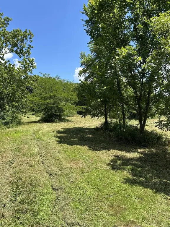 Picture 28