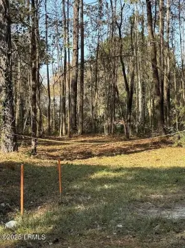 Ridgeland Mixed-Use Land For Sale