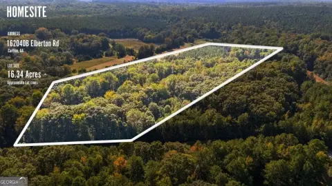 Wooded Recreational Land