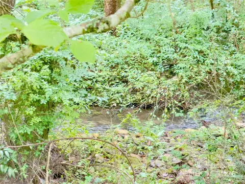 Land with Creek in Old Fort