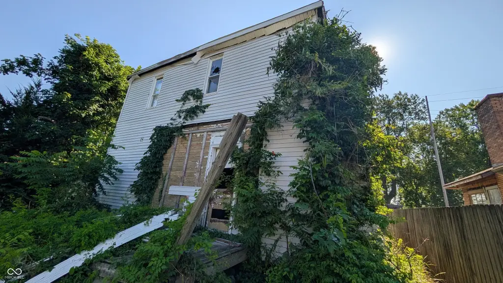 Picture 3