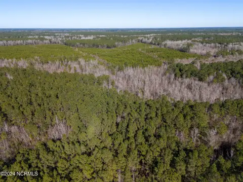 Currie Land with Hunting Potential