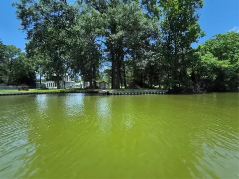 Lakefront Property on Cedar Creek