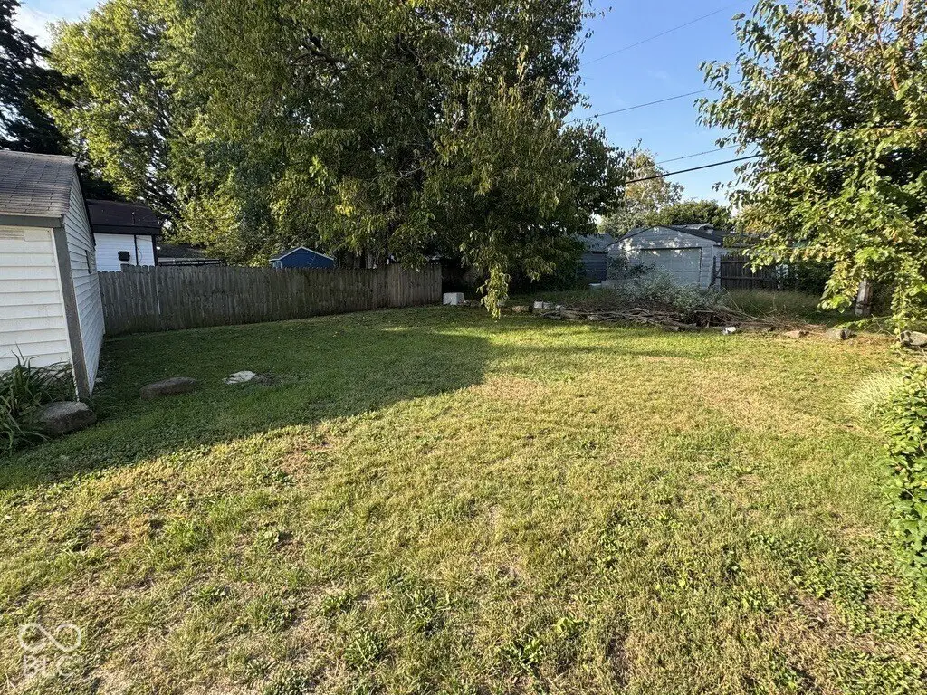 Picture 35