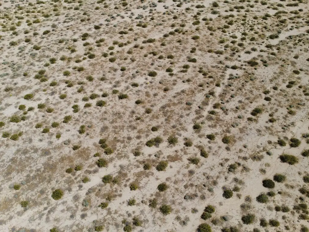 Picture 22